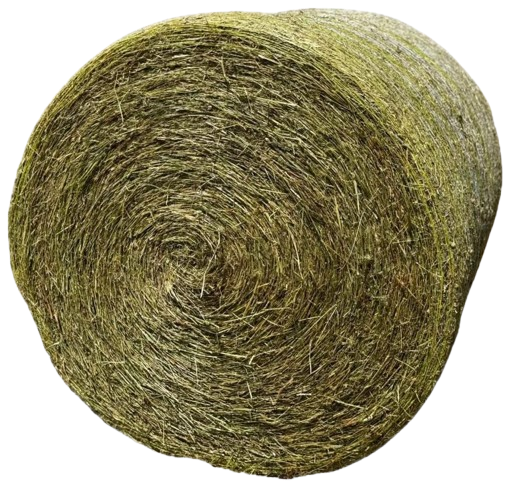 Produzione Foraggi
