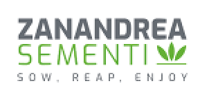 Zanandrea